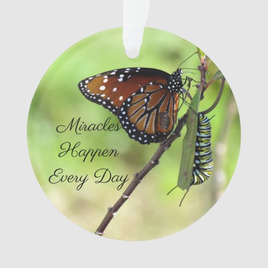 奇跡のオーナメント – 蝶/キャタピラーアクリル オーナメント (正面)