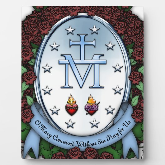 奇跡のメダル2 フォトプラーク (正面)