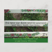 『奇跡の軌跡』感動的引用文葉書 ポストカード (正面)