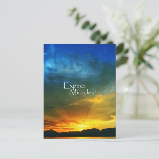 奇跡を待て! ポストカード (スタンド正面)