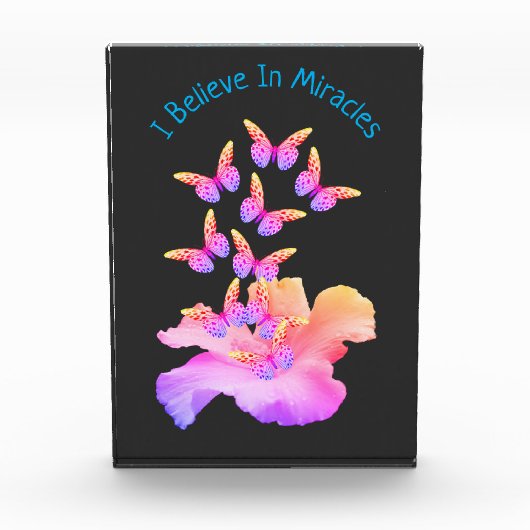 奇跡信じのハイビスカスフラワーチョウ フォトブロック (正面)