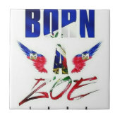 奈世 タイル (正面)