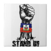 奈世 タイル (正面)