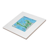 奈世 タイル (側面)