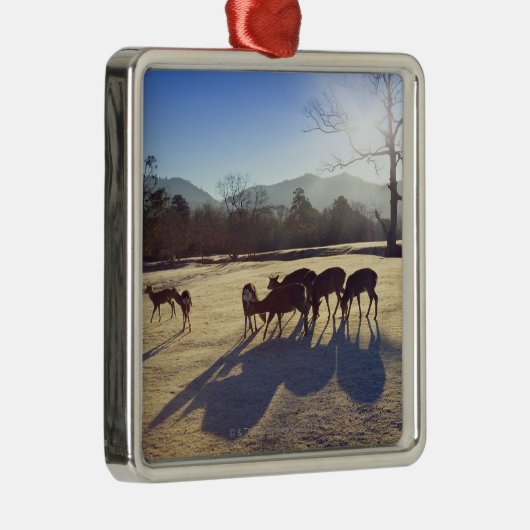 奈良の奈良県、日本の公園のシカ メタルオーナメント (右)