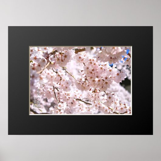 奈良一番桜 ("Nara Ichiban-Zakura") ポスター (正面)