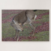 奈良公園2024 ジグソーパズル (横)