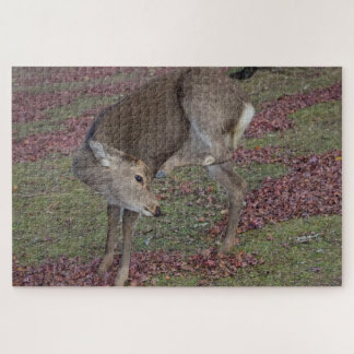 奈良公園2024 ジグソーパズル