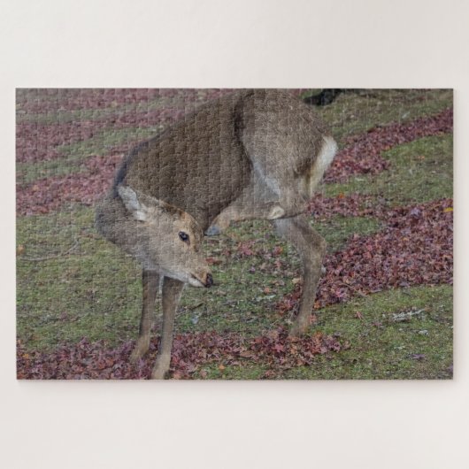 奈良公園2024 ジグソーパズル (横)