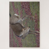 奈良公園2024 ジグソーパズル (縦)