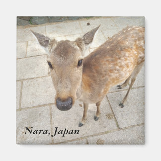 奈良日本おみやげ写真磁石 マグネット