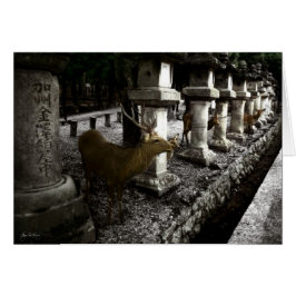 奈良日本の聖鹿