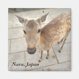 奈良日本の記念品の写真の磁石 マグネット
