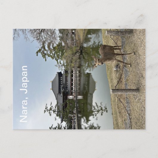 奈良日本はがき ポストカード (正面)