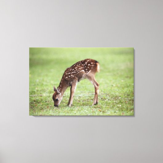 奈良県本州3 キャンバスプリント (正面)