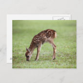 奈良県本州 ポストカード (正面/裏面)