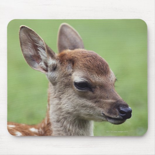 奈良県本州 マウスパッド (正面)