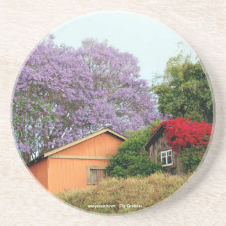 奥地のコースターの色 コースター