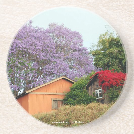 奥地のコースターの色 コースター (正面)