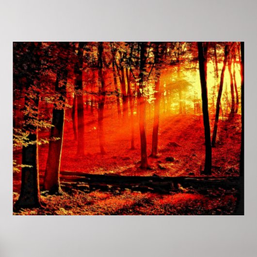 奥行き59 ポスター (正面)