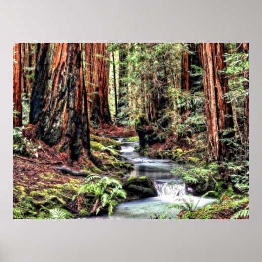 奥行き92ブリスルラム ポスター (正面)