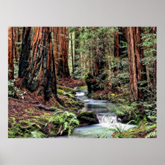 奥行き92詳細 ポスター