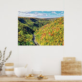 奥行70ブリスル油cmyk ポスター (キッチン)