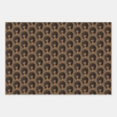 奨励する黒人女性，天然の髪，茶色 ラッピングペーパーシート (正面3)