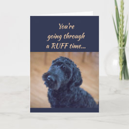 奨励は健康でかわいく黒い巻き毛犬ペットを得ます カード