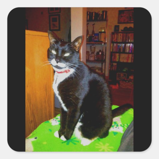 女かわいらしの子 スクエアシール (正面)