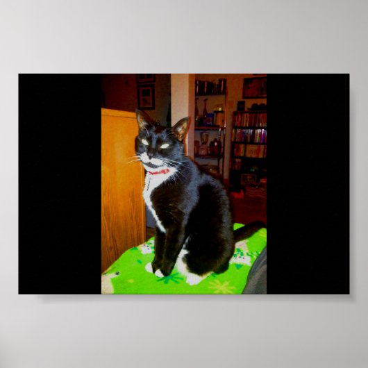 女かわいらしの子 ポスター (正面)