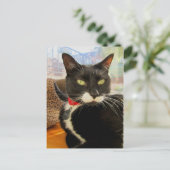 女かわいらしの子 ポストカード (スタンド正面)