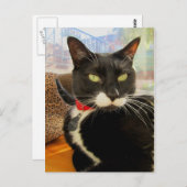 女かわいらしの子 ポストカード (正面/裏面)