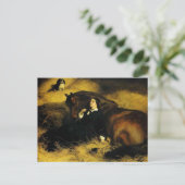 女と馬 ポストカード (スタンド正面)