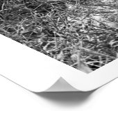 女のボトル食べ物を与えはカモシカだ。 ポスター (角)