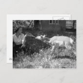 女のボトル食べ物を与えはカモシカだ。 ポストカード (正面/裏面)