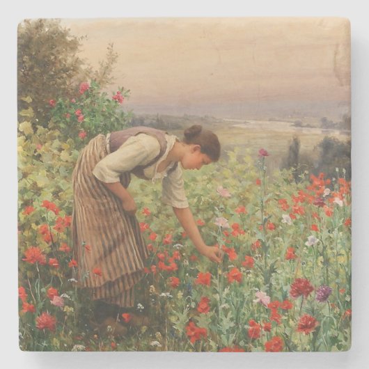 女の子がケシを摘む(フローラシーン) （花畑） ストーンコースター (正面)