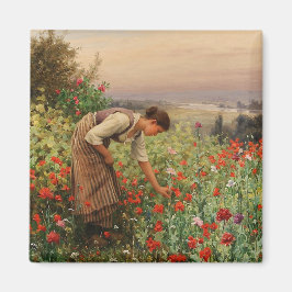 女の子がケシを摘む(フローラシーン) （花畑） マグネット