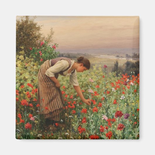 女の子がケシを摘む(フローラシーン) （花畑） マグネット (正面)