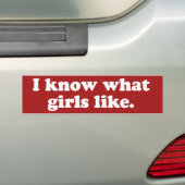 女の子が好きなものはわかってる バンパーステッカー (車上)