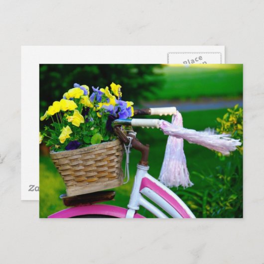 女の子だけのおもしろい、ピンクの女の子の自転車 ポストカード (正面/裏面)