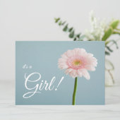 女の子だ！ 案内状 (スタンド正面)