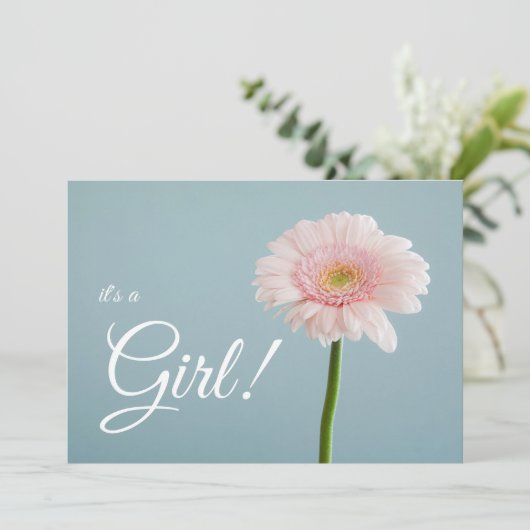 女の子だ！ 案内状 (スタンド正面)