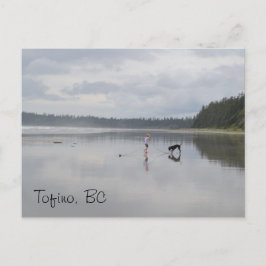 女の子と犬のビーチ ポストカード