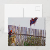 女の子のために戦う ポストカード (正面/裏面)