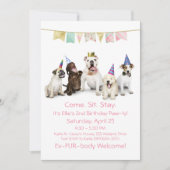 女の子の犬の誕生日パーティー 招待状 (正面)