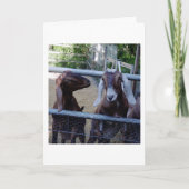 女の子の話 カード (正面)