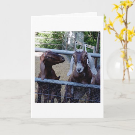 女の子の話 カード (黄色い花)