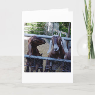 女の子の話 カード