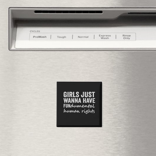 女の子はFUNdamentalの人権を持ちたいだけだ マグネット (インサイチュ (食洗機))